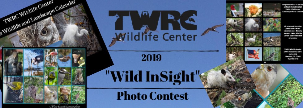 TWRC 2019 photo contest