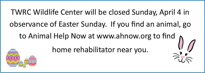 TWRC Closed Easter Sunday