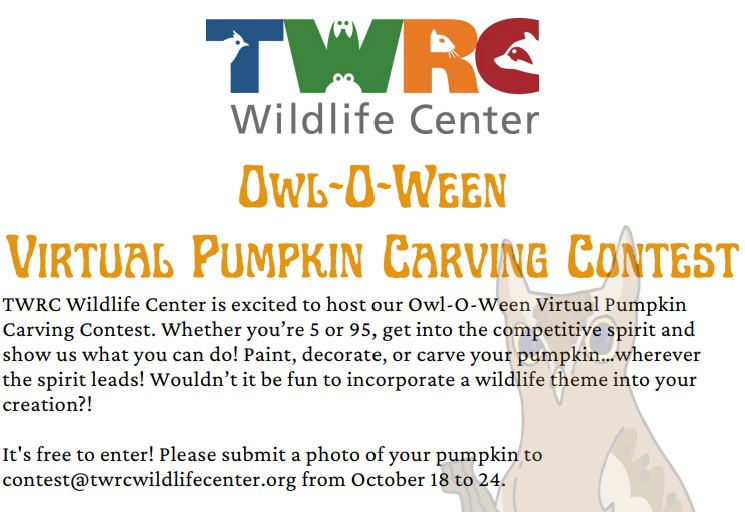 Owl-O-Ween Virtual Pumpkin Carving Contest