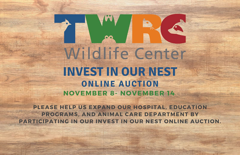 TWRC INVEST IN OUR NEST