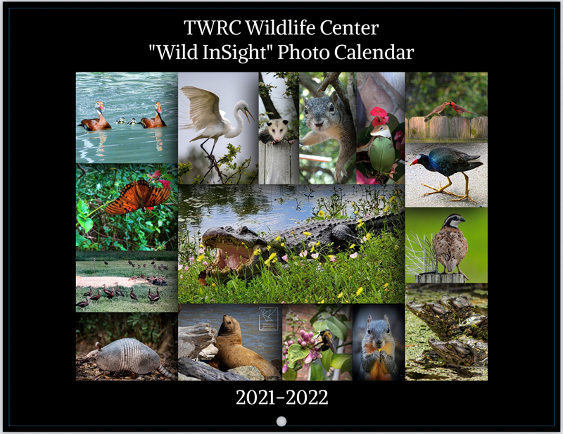 TWRC Photo Calendar