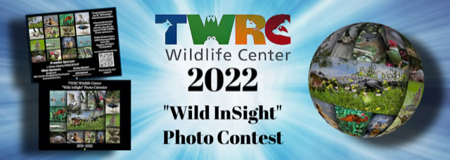 TWRC Wild InSight Photo Contest Banner