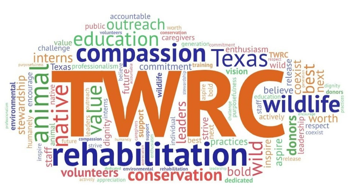 TWRC Wildlife Center word cloud