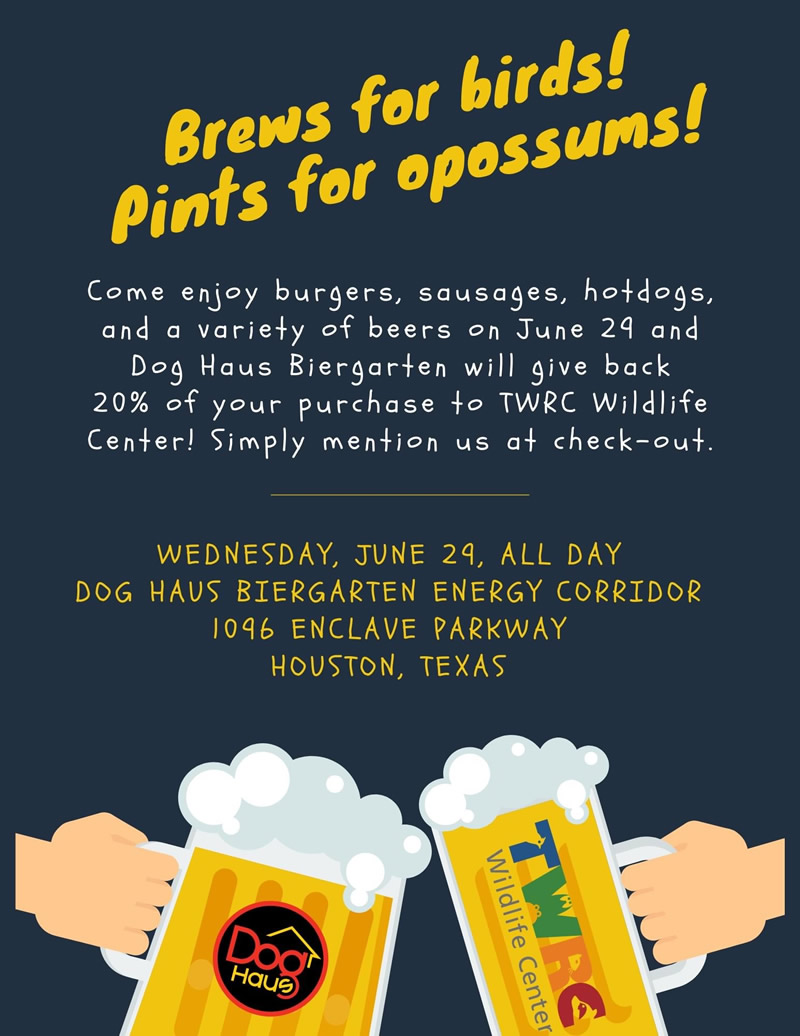 Brews for Birds and Pints for Opossums