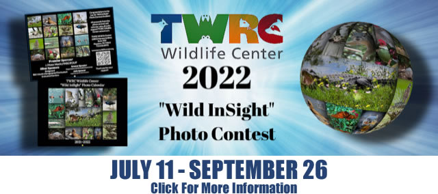 TWRC Wild InSight Photo Contest Banner
