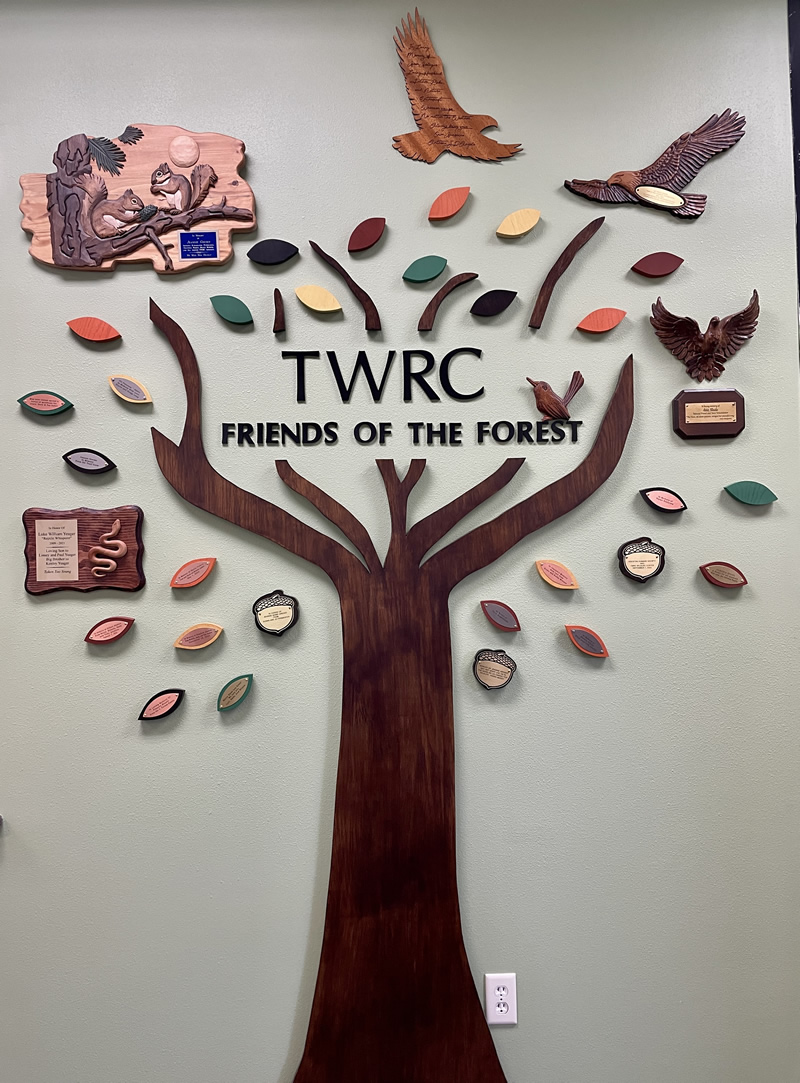 Friend of the Forest Tree - HHS TWRC