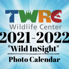 TWRC 2021-2022 “Wild InSight” Calendar