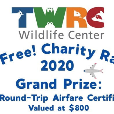 TWRC Fly Free Charity Raffle
